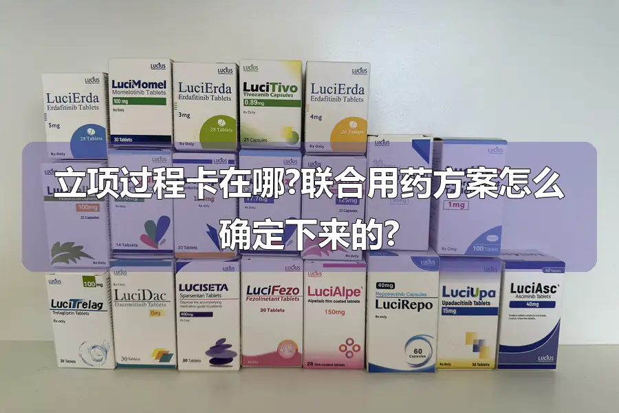 立项过程卡在哪?联合用药方案怎么确定下来的?